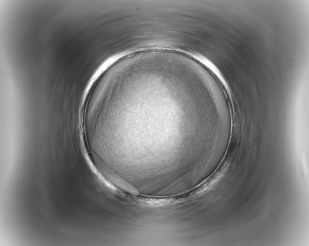 X0000084531389200703161558