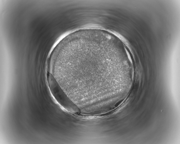 X0000084531390200703161558