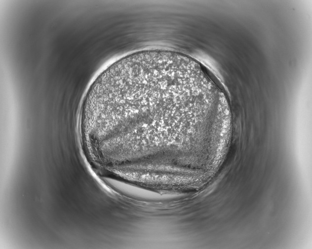 X0000084531391200703161558