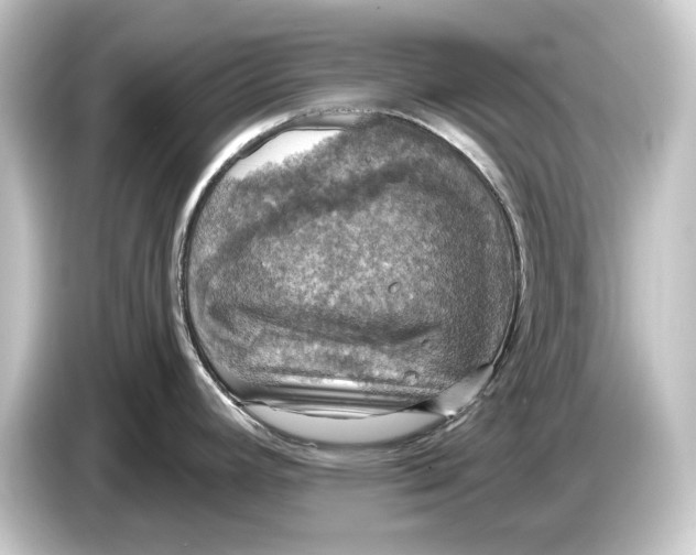 X0000084531392200703161558