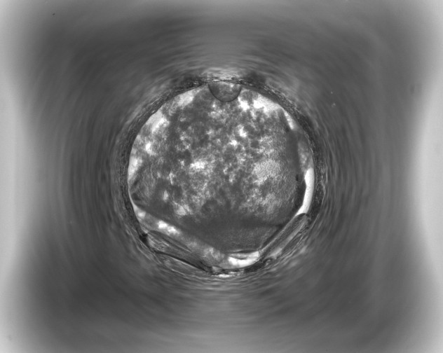 X0000084531393200703161558