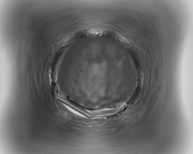 X0000084531394200703161558