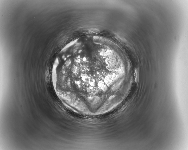 X0000084531395200703161558