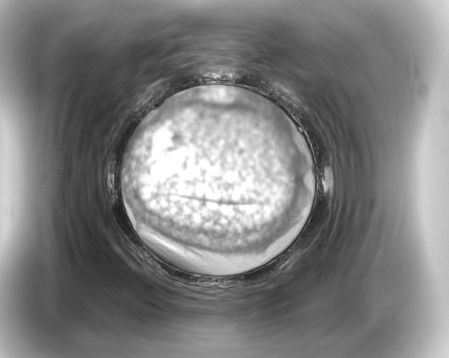 X0000084531396200703161558