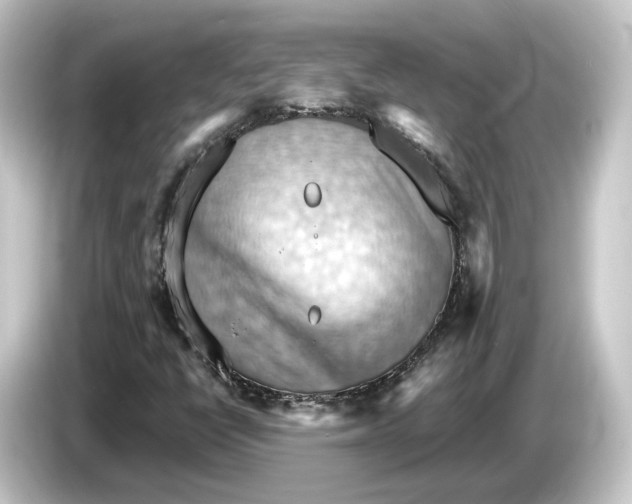 X0000084531398200703161558