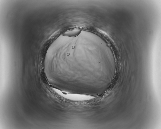 X0000084531399200703161558