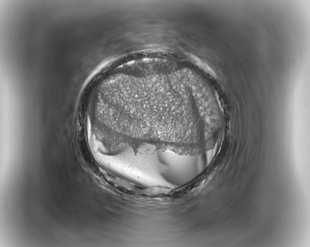 X0000084531400200703161558