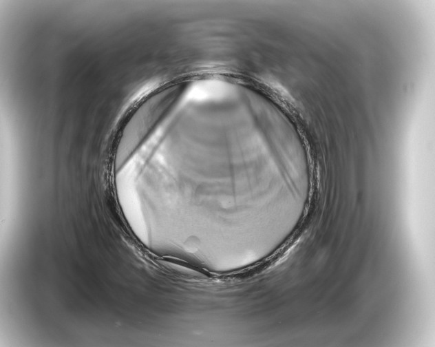 X0000084531405200703161558