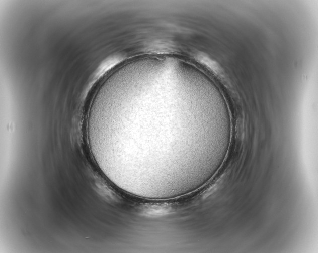 X0000084531410200703161558