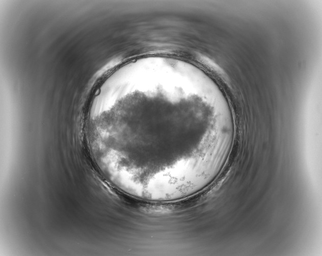 X0000084531411200703161558