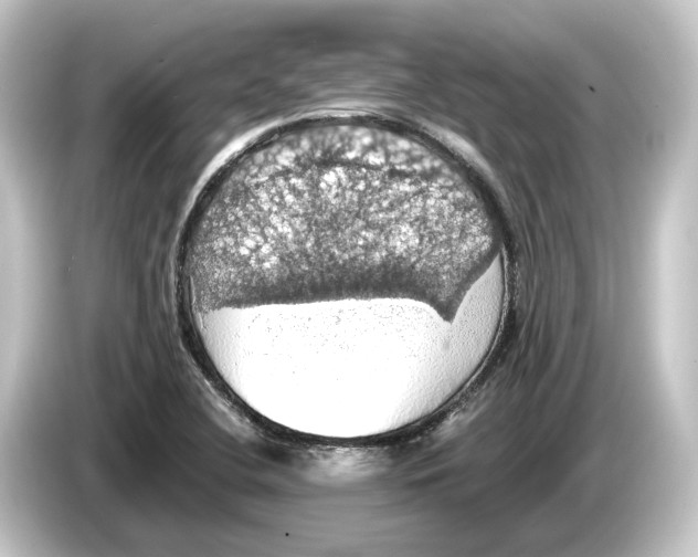 X0000084531412200703161558