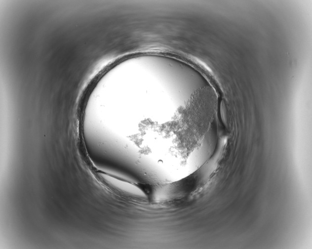 X0000084531414200703161558