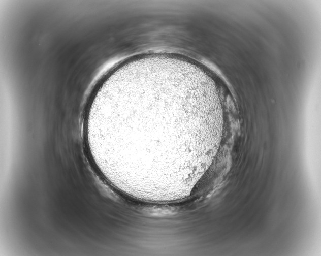 X0000084531416200703161558