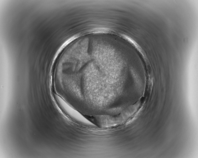 X0000084531418200703161558