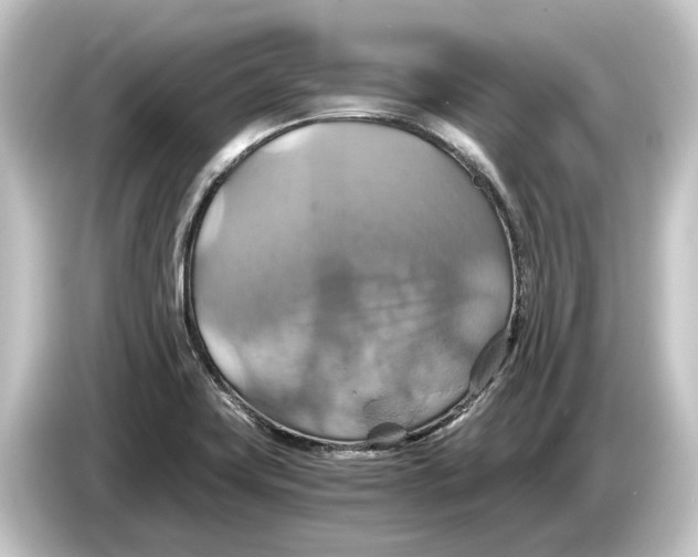 X0000084531419200703161558