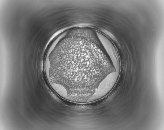 X0000084531420200703161558