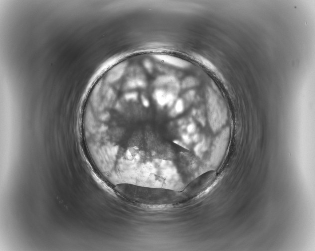 X0000084531421200703161558