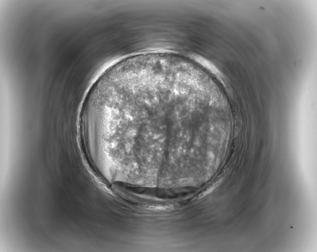 X0000084531423200703161558