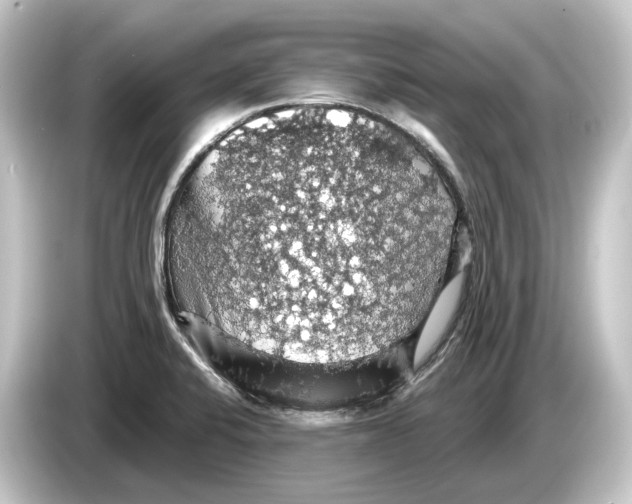 X0000084531424200703161558