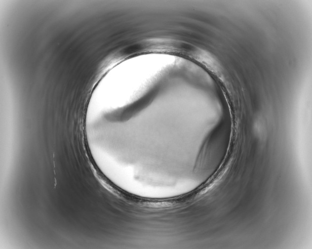 X0000084531425200703161558