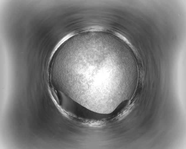 X0000084531426200703161558