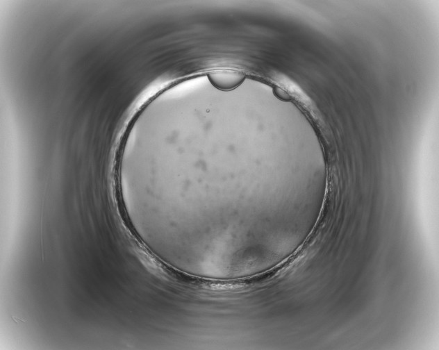 X0000084531427200703161558