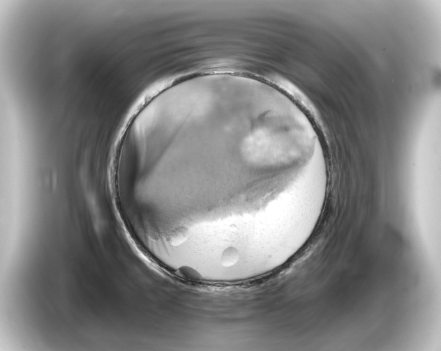 X0000084531429200703161558