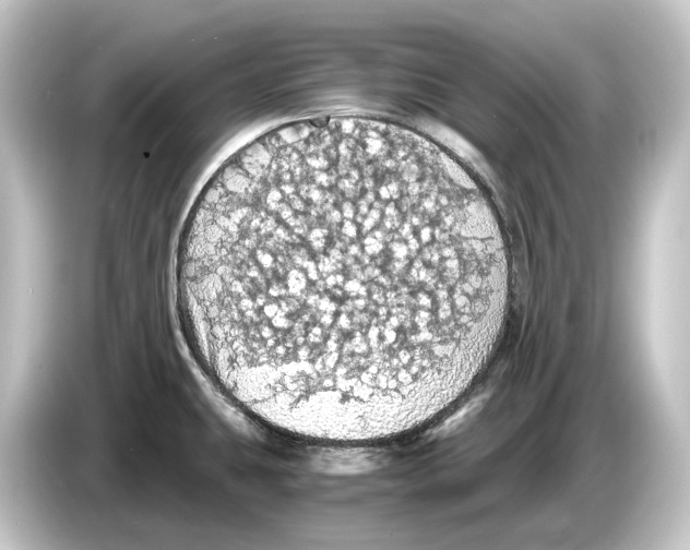 X0000084531431200703161558