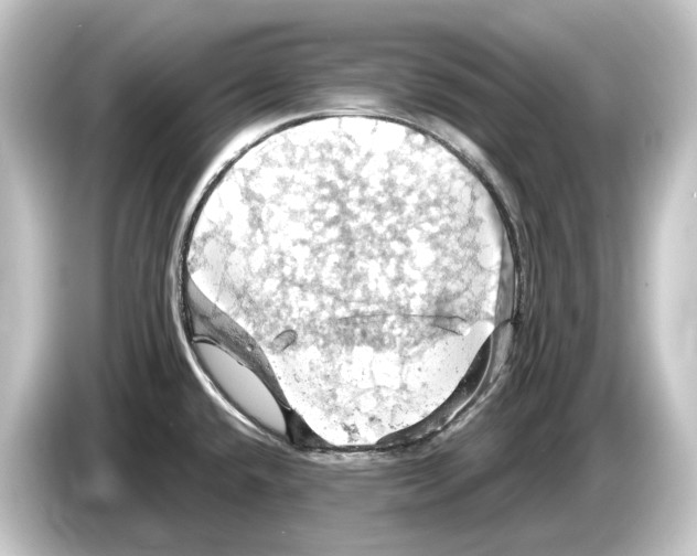 X0000084531432200703161558