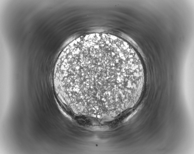 X0000084531433200703161558