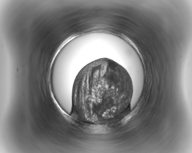 X0000084531434200703161558