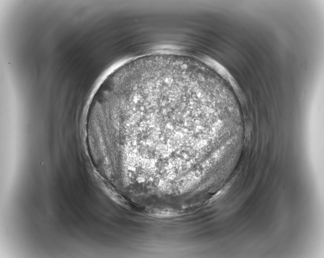 X0000084531435200703161558