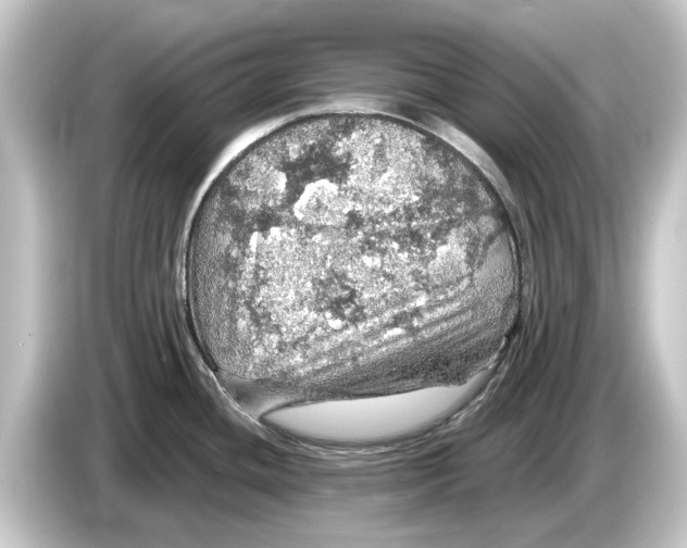 X0000084531436200703161558