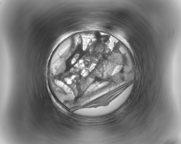 X0000084531439200703161558