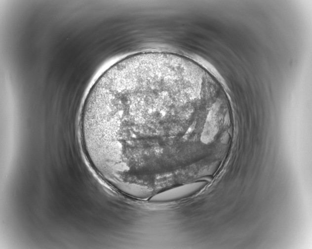 X0000084531440200703161558