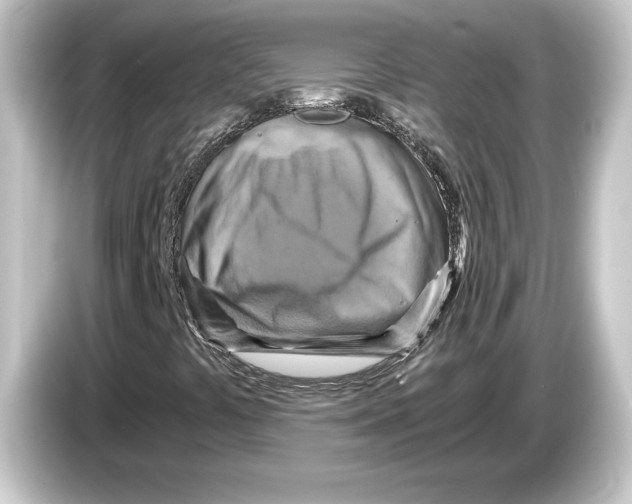 X0000084531441200703161558