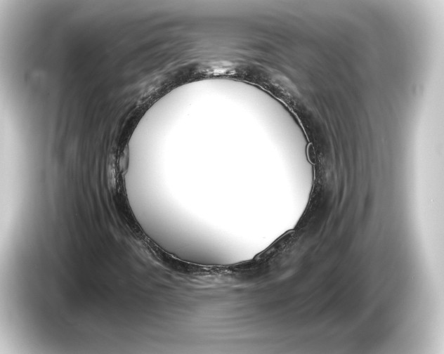 X0000084531442200703161558