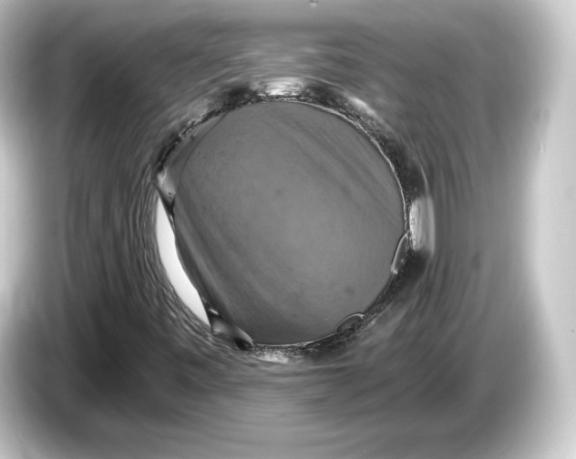 X0000084531443200703161558