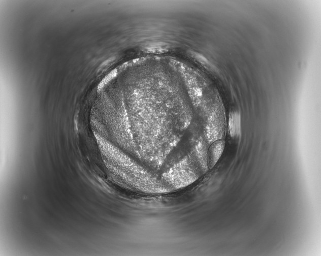 X0000084531444200703161558