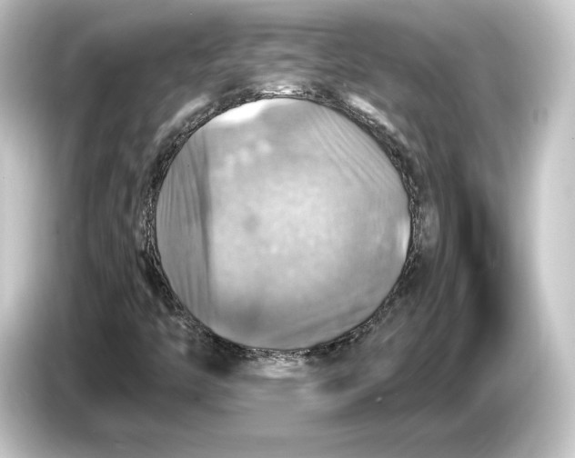 X0000084531446200703161558