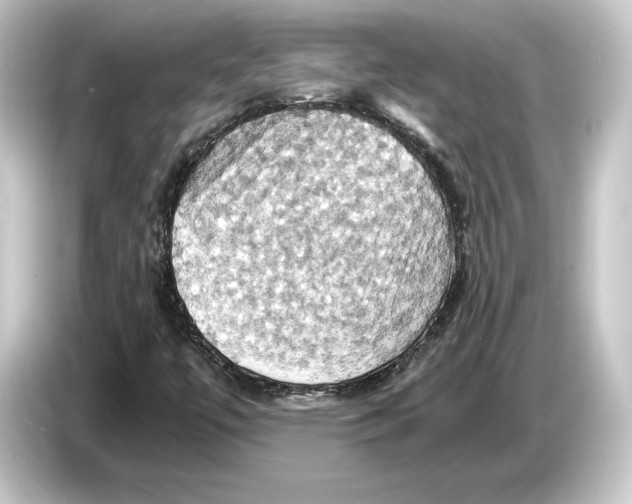 X0000084531447200703161558