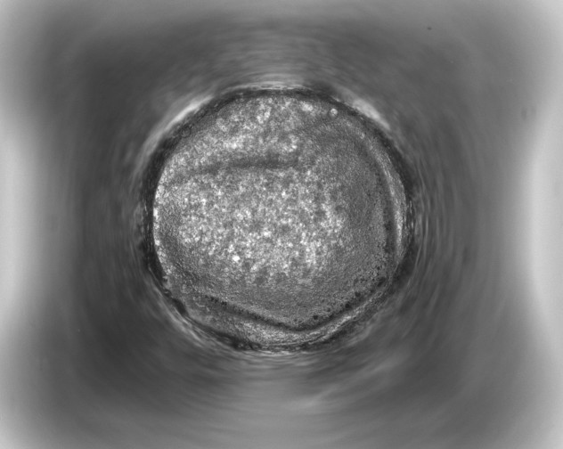 X0000084531448200703161558