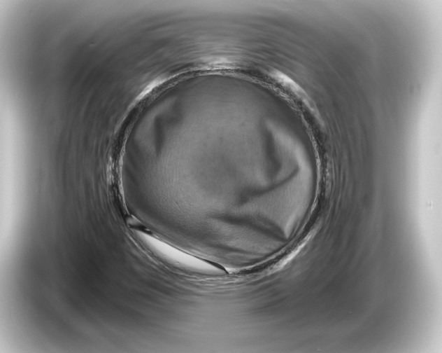 X0000084531449200703161558