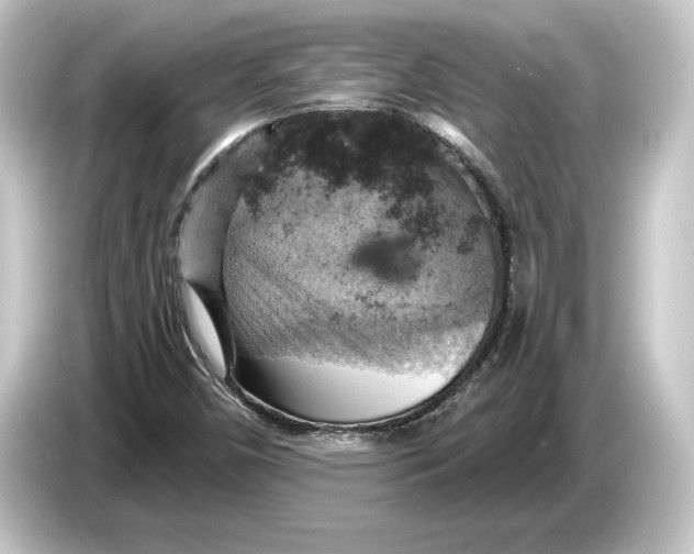 X0000084531450200703161558