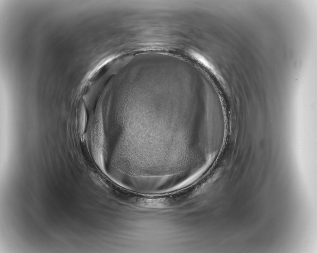 X0000084531453200703161558