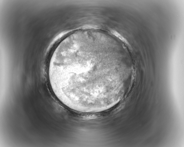 X0000084531454200703161558