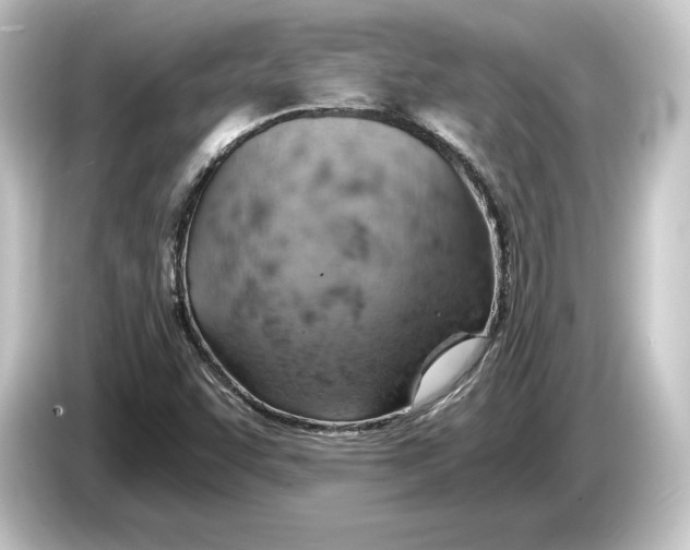 X0000084531455200703161558