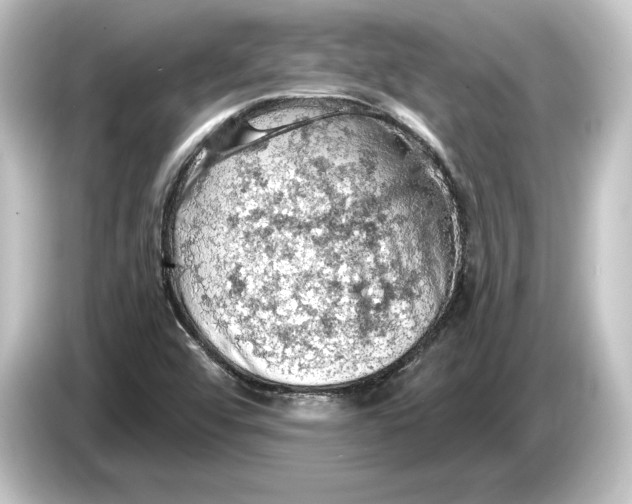 X0000084531456200703161558