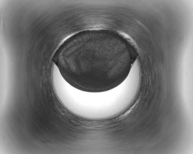 X0000084531457200703161558