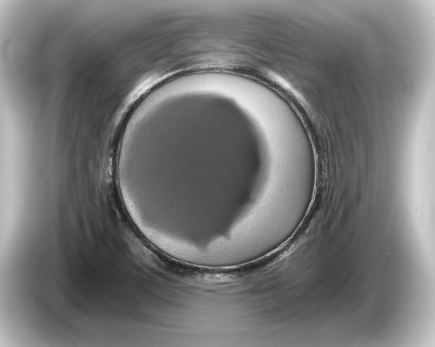 X0000084531459200703161558